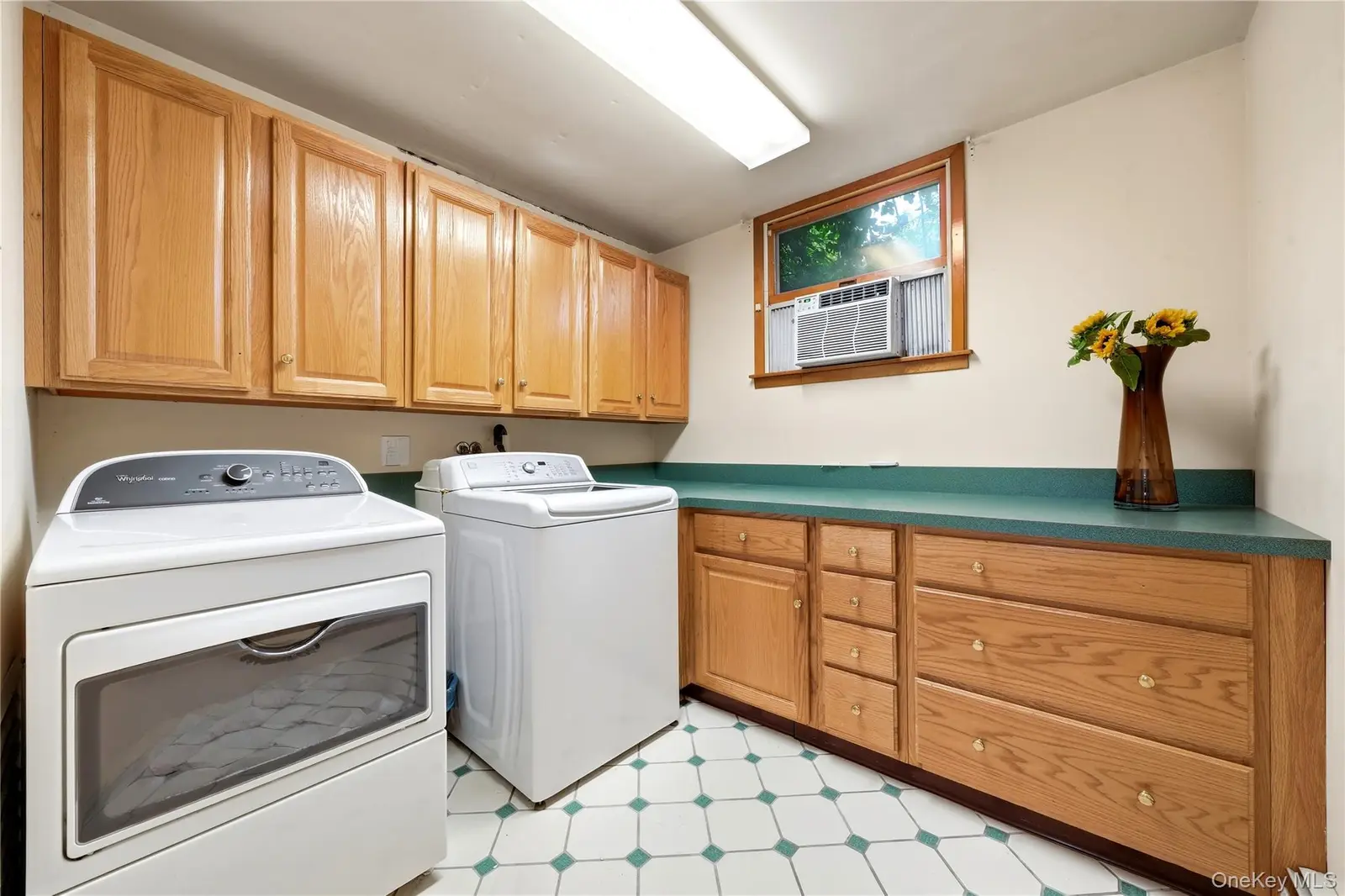 3 Finnin Place, photo 5